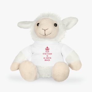 jucărie de pluș personalizată