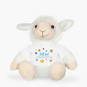 Cadou pentru fiul meu, oiță de pluș personalizată cu nume copii