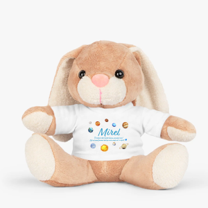 Cadou pentru fiul meu, iepuraș de pluș personalizat cu nume copii