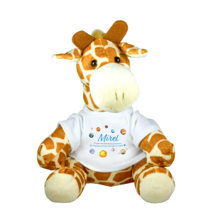 Cadou de suflet pentru fiul meu, girafă de pluș personalizată cu nume copii