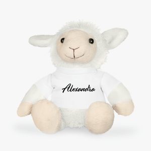 jucărie de pluș personalizată