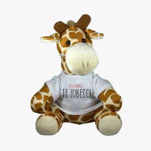 jucărie de pluș personalizată
