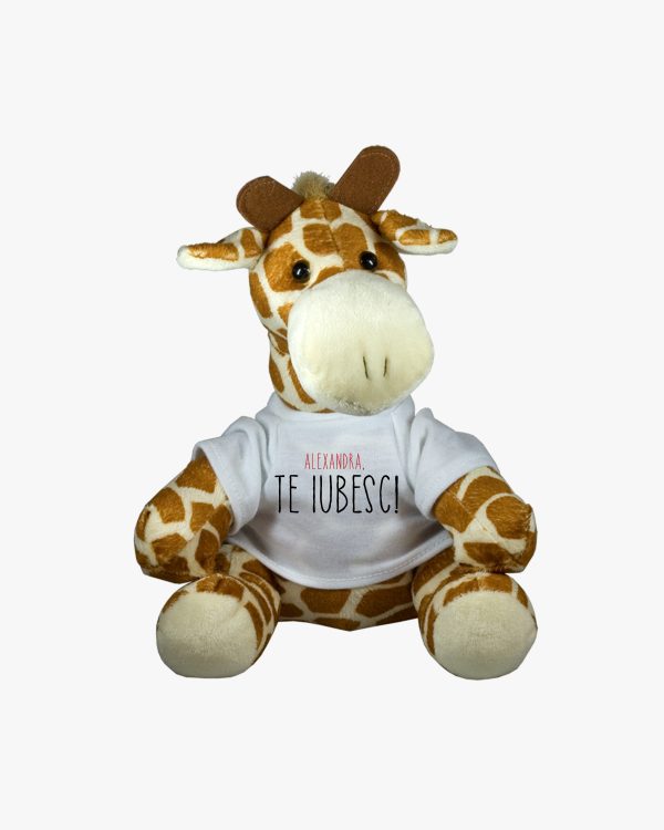 jucărie de pluș personalizată